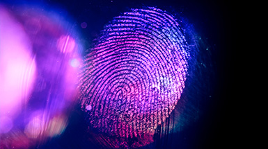 Detection