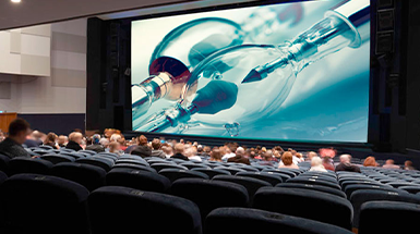 Projection & Entertainment