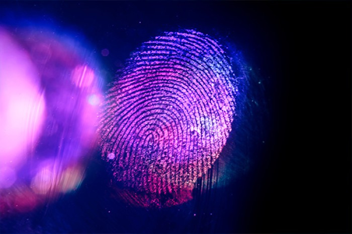 Detection